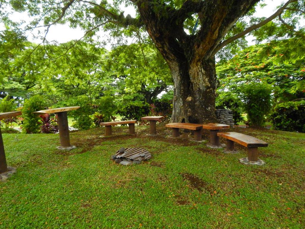 Taveuni Dive Resort Waiyevo Dış mekan fotoğraf
