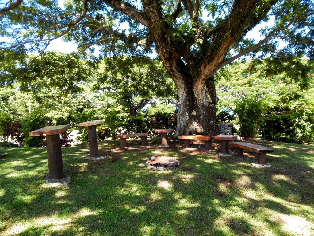 Taveuni Dive Resort Waiyevo Dış mekan fotoğraf