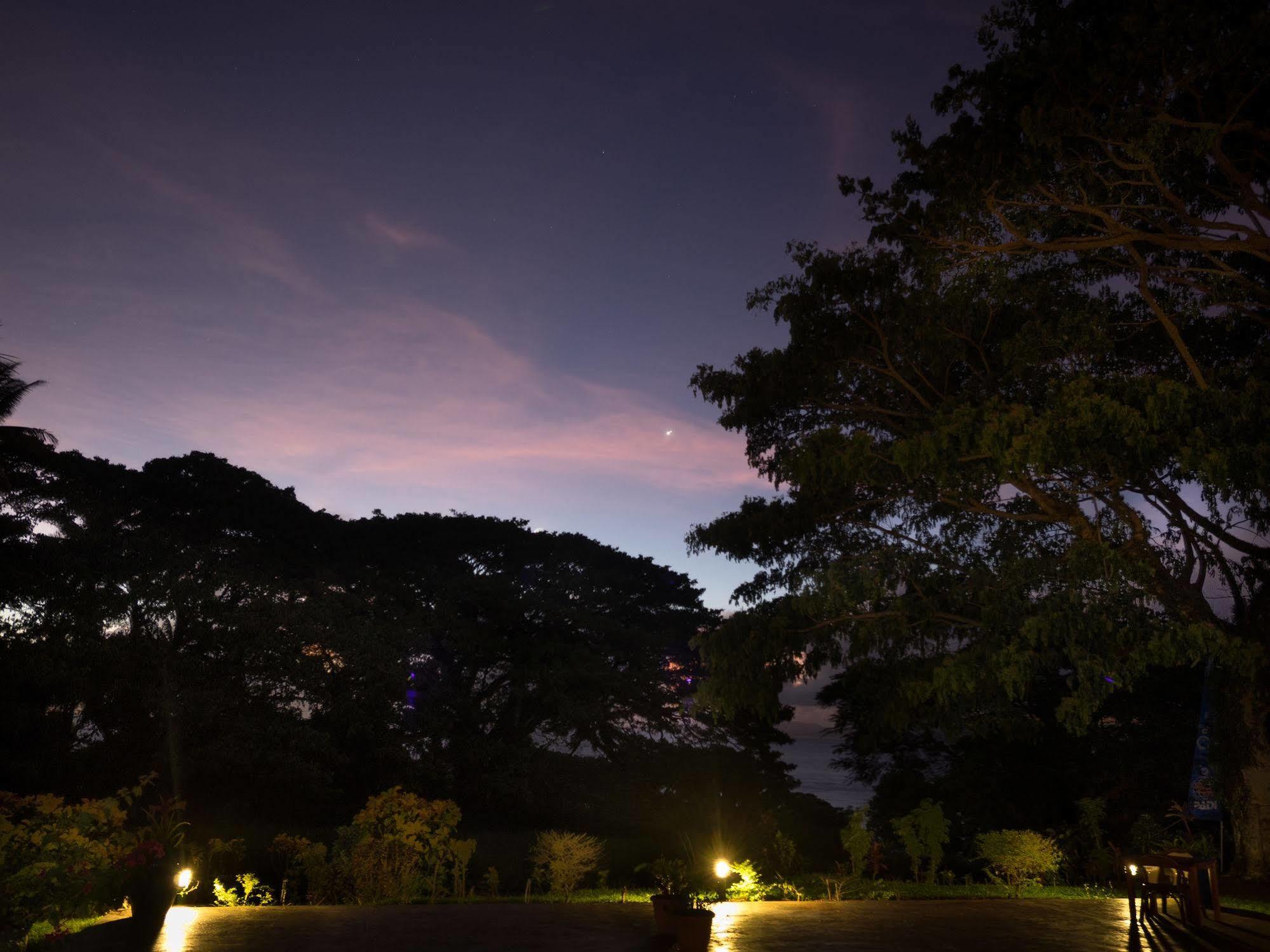 Taveuni Dive Resort Waiyevo Dış mekan fotoğraf